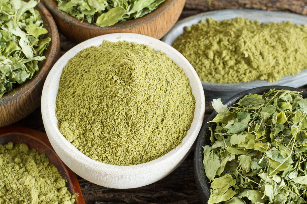 14 Moringa Powder Benefits by Zen Principle