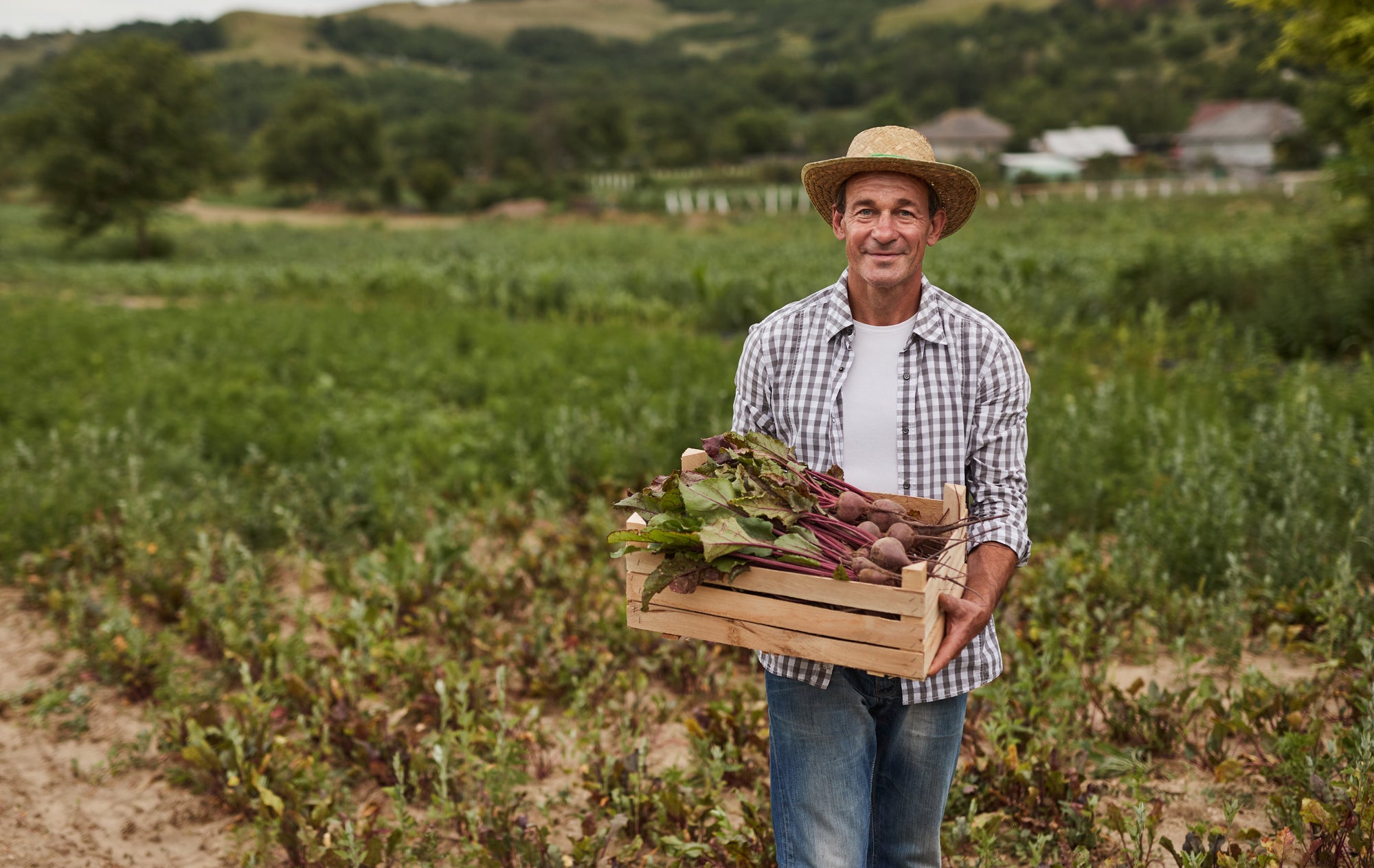 4 Beetroot Benefits for Men You Need To Know About