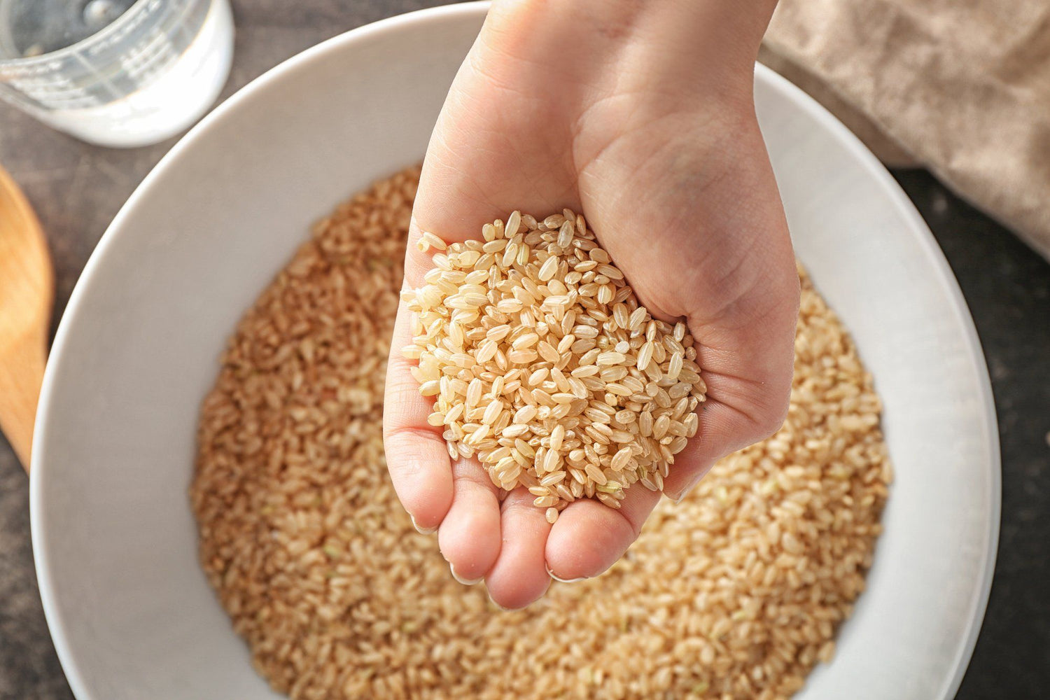 Brown Rice Protein - Ultimate Guide