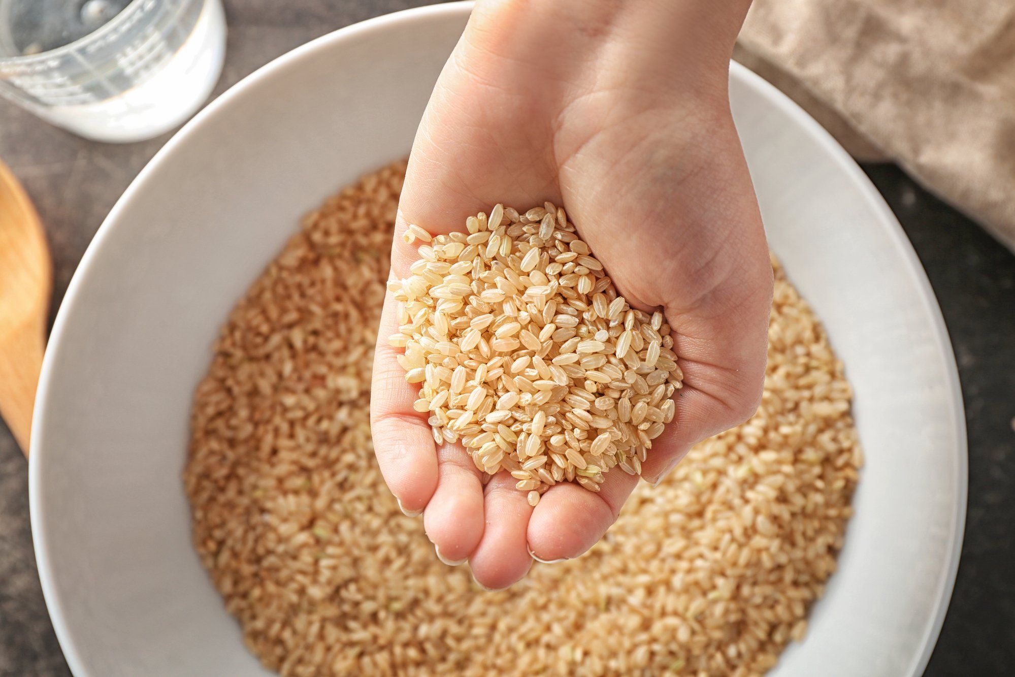 Brown Rice Protein - Ultimate Guide