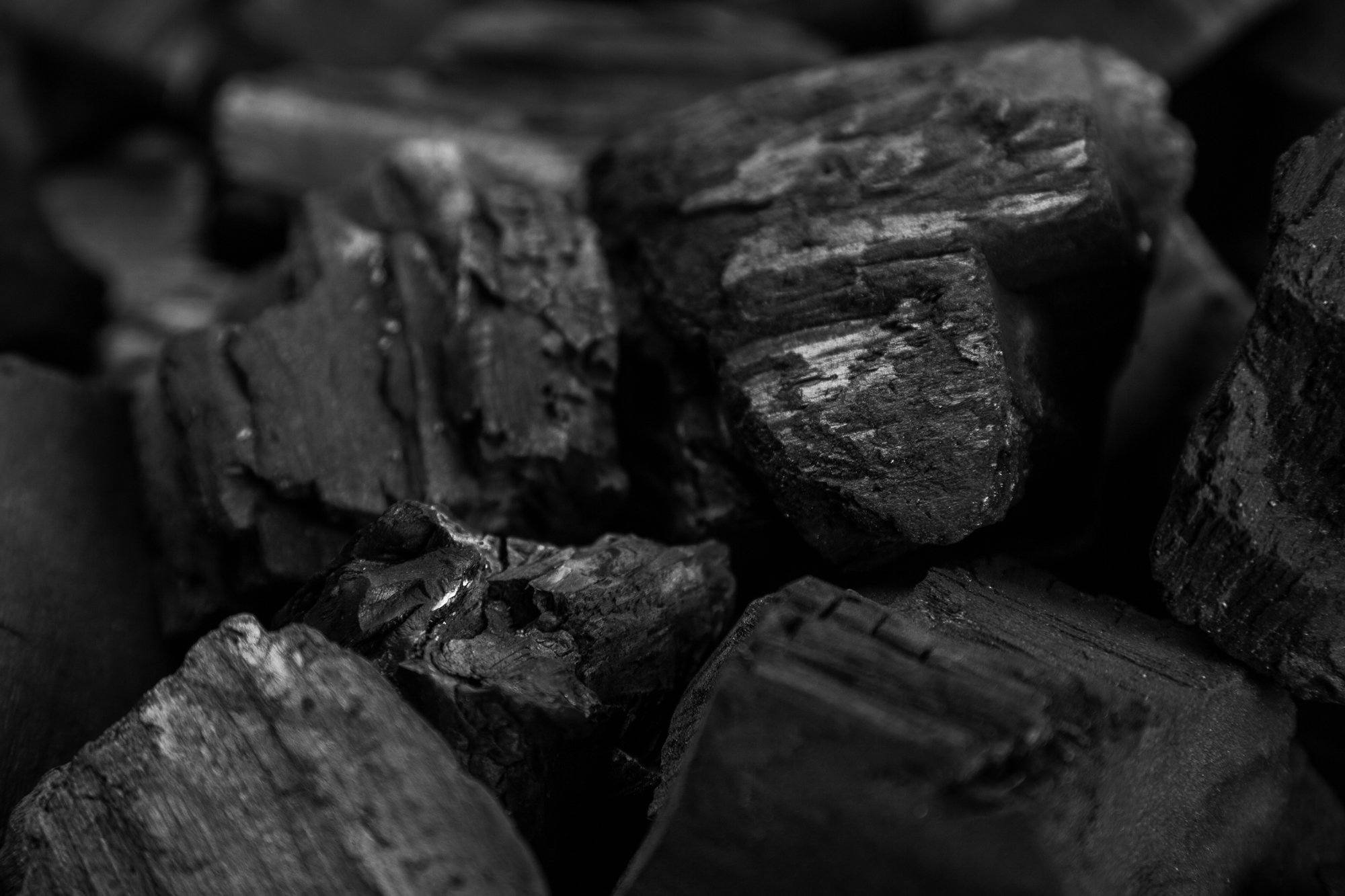 Making Dog Treats with Activated Charcoal Powder