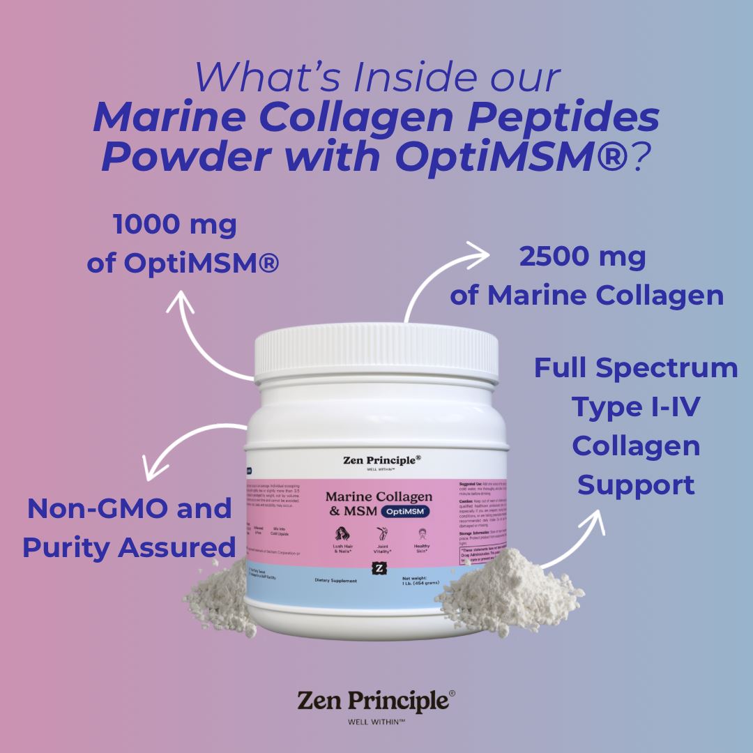 Marine Collagen Peptides Powder with OptiMSM® Supplement Zen Principle Naturals 